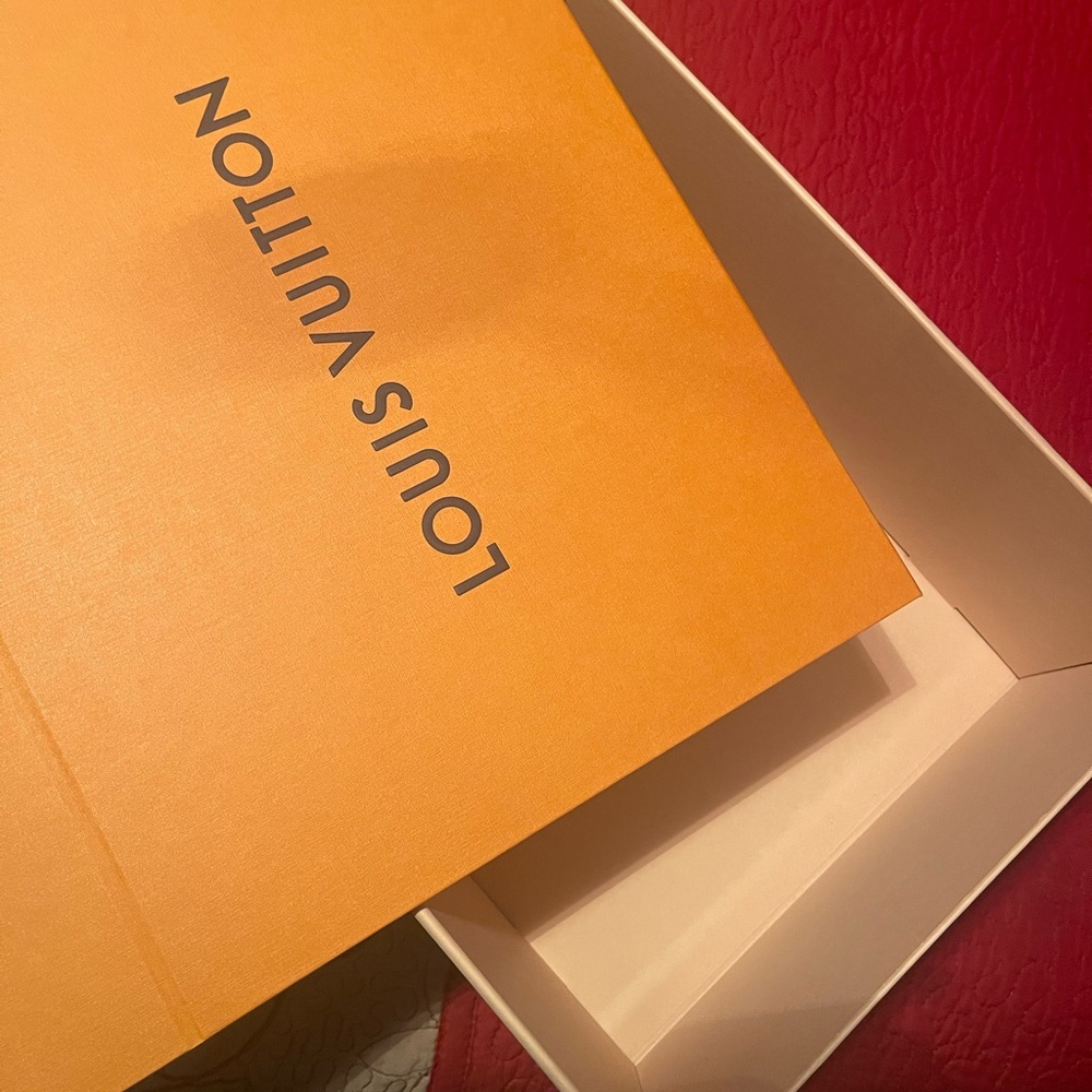 Louis Vuitton shoe box